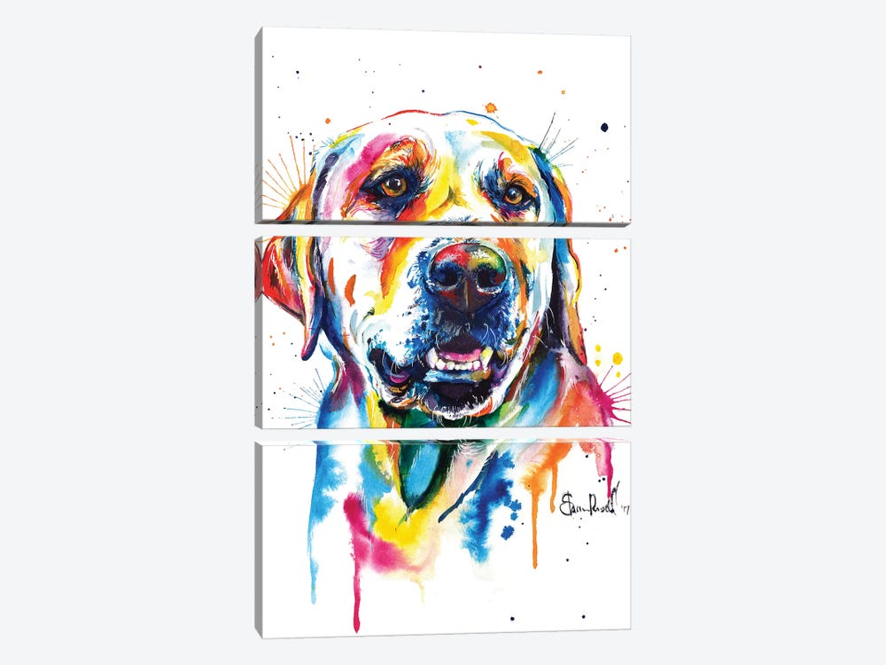 Yellow Lab II by Weekday Best 3-piece Canvas Print