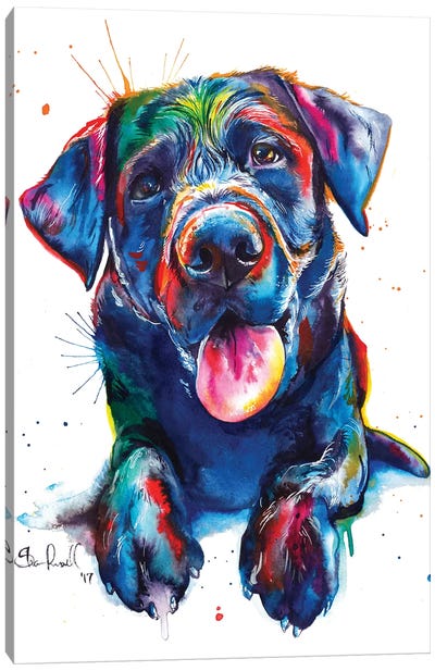 Black Lab II Canvas Art Print - Best Selling Dog Art