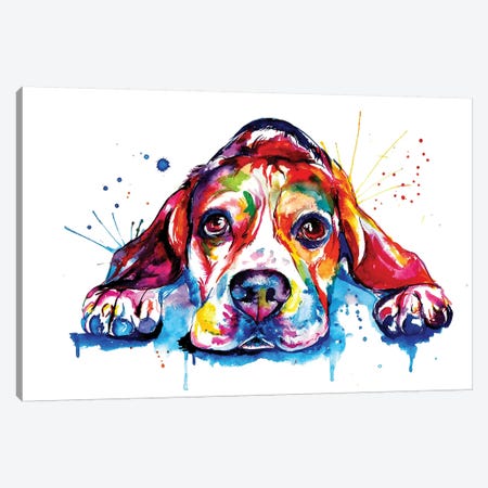 Beagle Canvas Print #SNA2} by Weekday Best Art Print