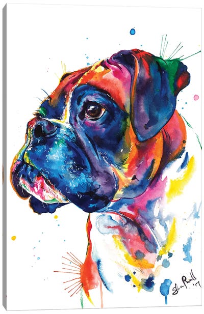 Boxer II Canvas Art Print - 3-Piece Animal Art
