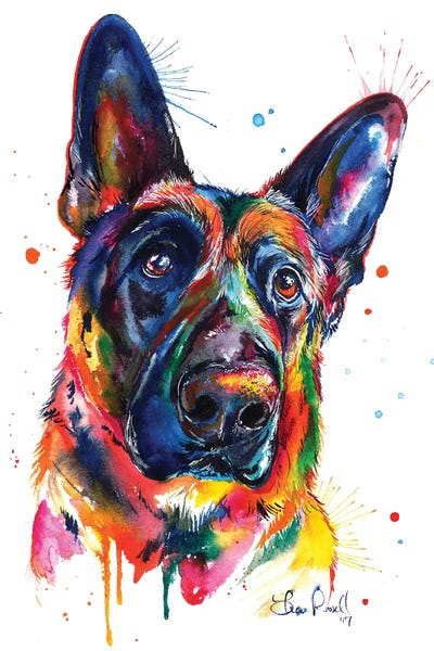 German Shepherds: German Shepard by Weekday Best