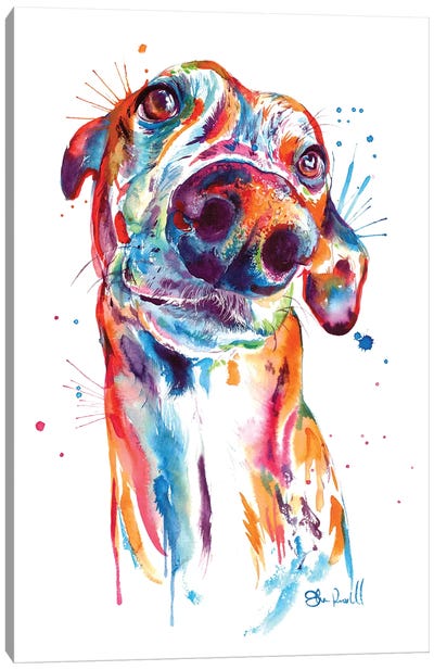 Greyhound Canvas Art Print - Weekday Best