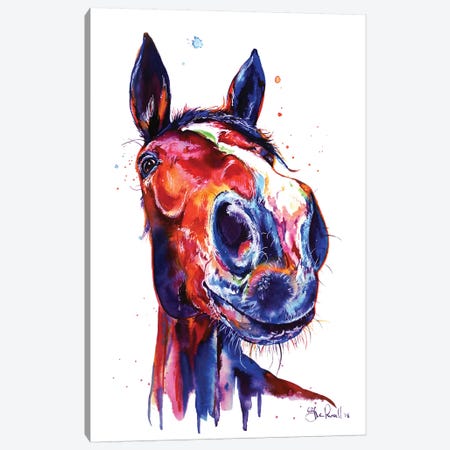 Horse Canvas Print #SNA35} by Weekday Best Art Print