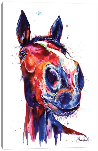 Horse Canvas Art Print - Weekday Best