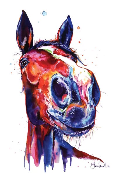 Horses: Horse by Weekday Best