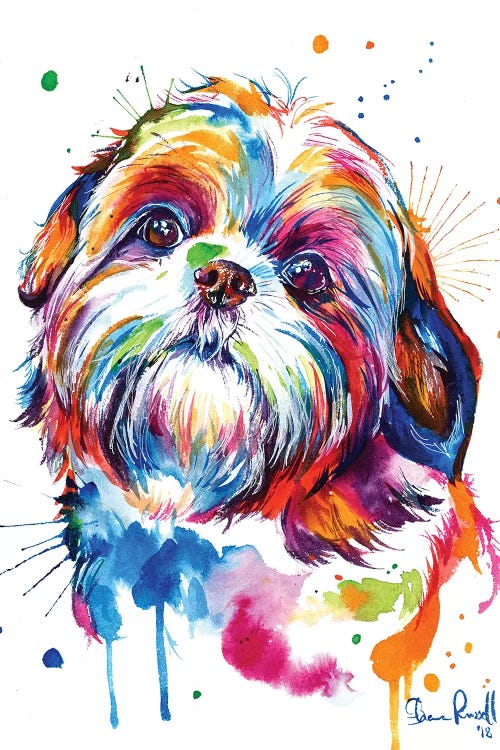 Shih Tzu by Weekday Best wall art