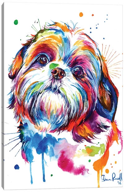 Shih Tzu Canvas Art Print - Dog Art