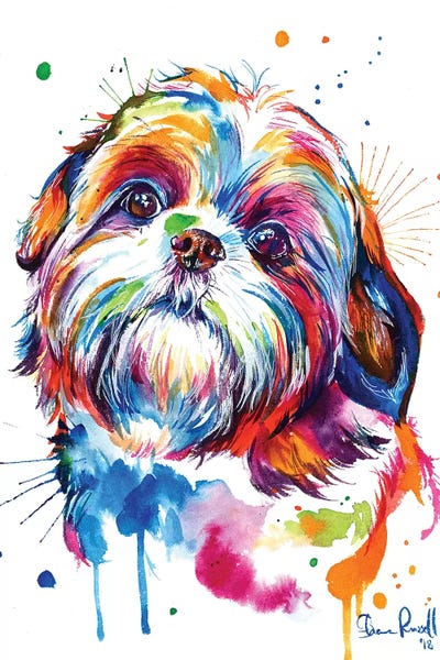 Dogs: Shih Tzu by Weekday Best