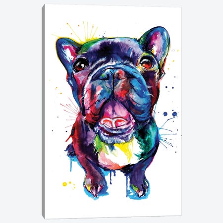 Black Frenchie Canvas Print #SNA3} by Weekday Best Canvas Print