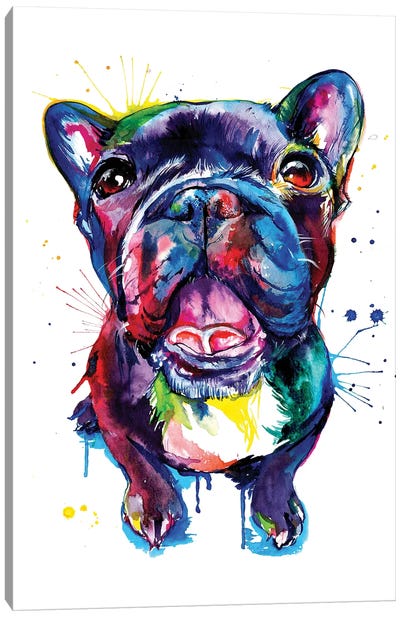 Black Frenchie Canvas Art Print - Kids Animal Art