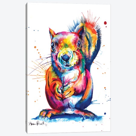 Squirrel Canvas Print #SNA40} by Weekday Best Canvas Art Print