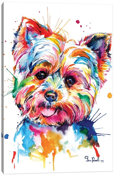 Yorkie Canvas Art Print - Best of Animal Art