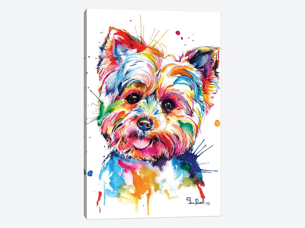 Fine Art Print Yorkshire Terrier Yorkie 