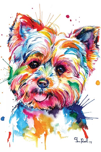 By Personality: Yorkie by Weekday Best