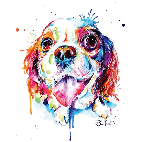 Weekday Best: Cavalier King Charles Spaniel by Weekday Best