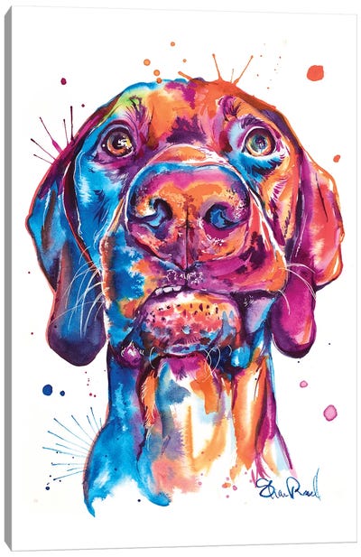 Vizsla Canvas Art Print - Best Selling Dog Art