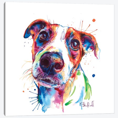 Jack Russel Canvas Print #SNA44} by Weekday Best Canvas Art