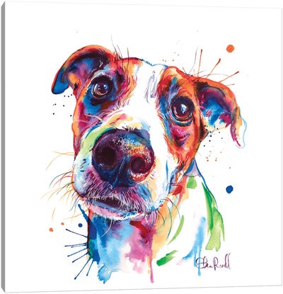 Jack Russel Canvas Art Print - Jack Russell Terrier Art
