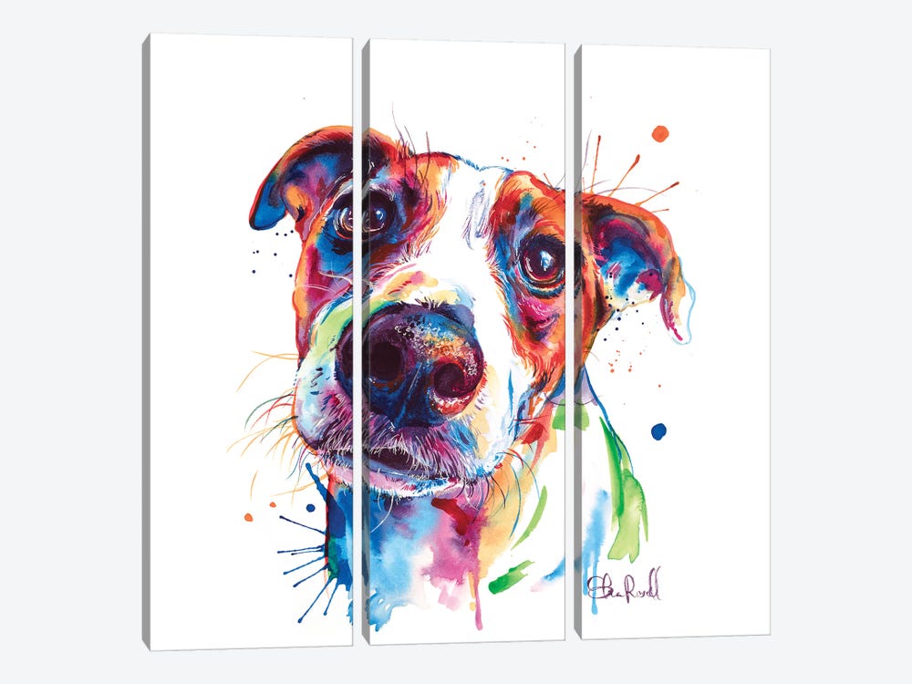 Jack Russel by Weekday Best 3-piece Canvas Wall Art
