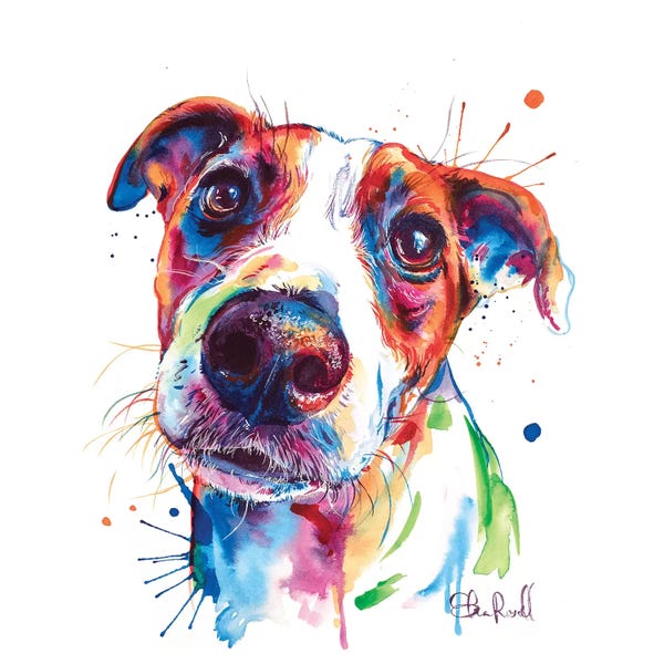 Terriers: Jack Russel by Weekday Best