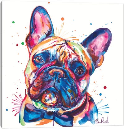 Bowtie Frenchie Canvas Art Print - French Bulldog Art