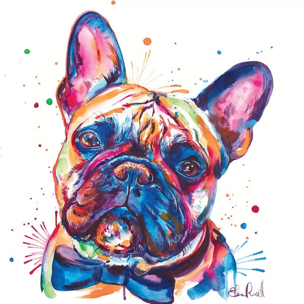 French Bulldogs: Bowtie Frenchie by Weekday Best