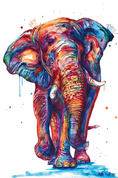 Wildlife: Elephant by Weekday Best