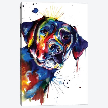 Black Lab Canvas Print #SNA4} by Weekday Best Canvas Wall Art