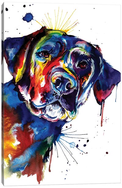Black Lab Canvas Art Print - Best of Animal Art
