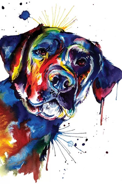 Dogs: Black Lab by Weekday Best