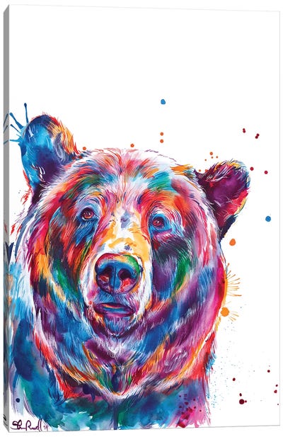 Bear Canvas Art Print - Wildlife Art