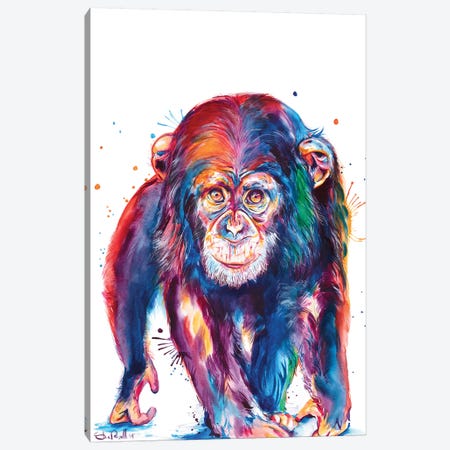 Chimp Canvas Print #SNA51} by Weekday Best Canvas Art