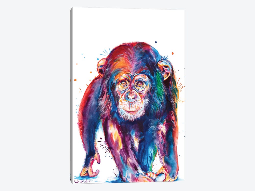 Chimp by Weekday Best 1-piece Canvas Artwork