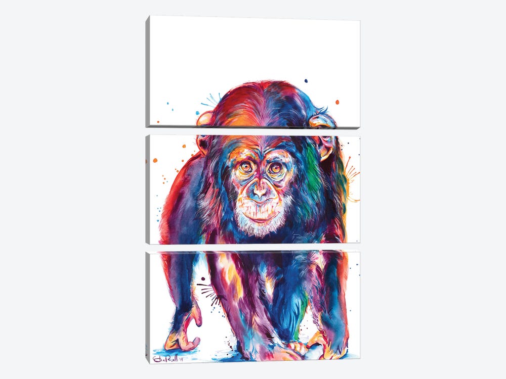 Chimp by Weekday Best 3-piece Canvas Wall Art