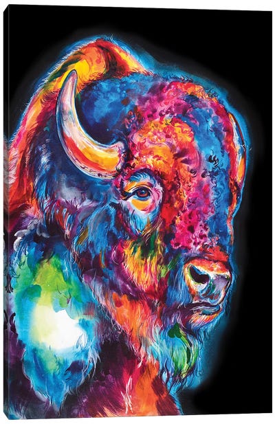 Buffalo On Black Canvas Art Print - Best Selling Paper