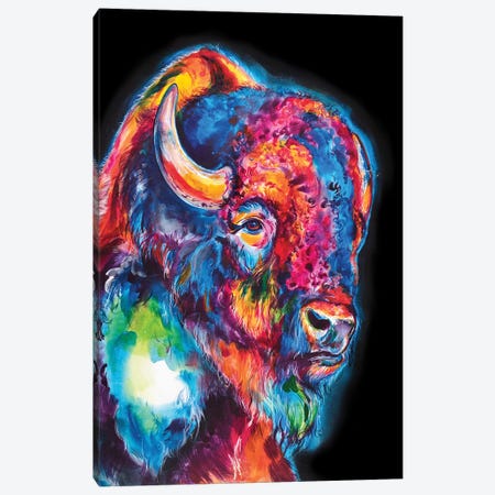 Buffalo On Black Canvas Print #SNA52} by Weekday Best Canvas Art