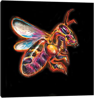Honey Bee Canvas Art Print - Weekday Best