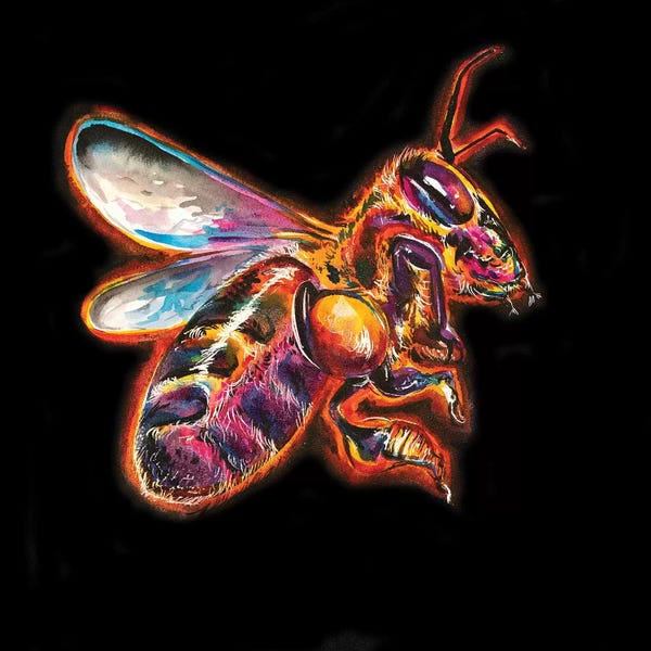 Bees: Honey Bee by Weekday Best