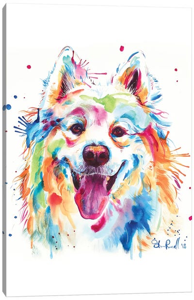Samoyed Canvas Art Print - Weekday Best