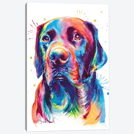 Chocolate Lab Canvas Print #SNA57} by Weekday Best Canvas Print