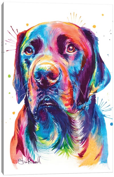 Chocolate Lab Canvas Art Print - Labrador Retriever Art