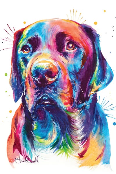 Labrador Retrievers: Chocolate Lab by Weekday Best