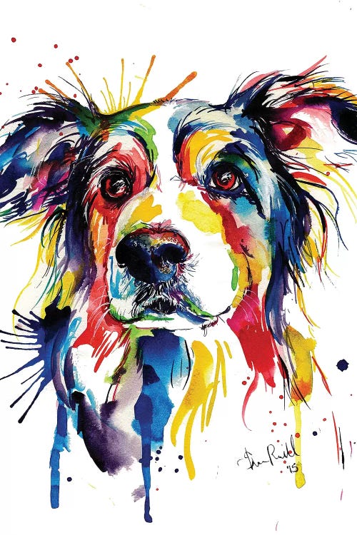 Border Collie by Weekday Best wall art
