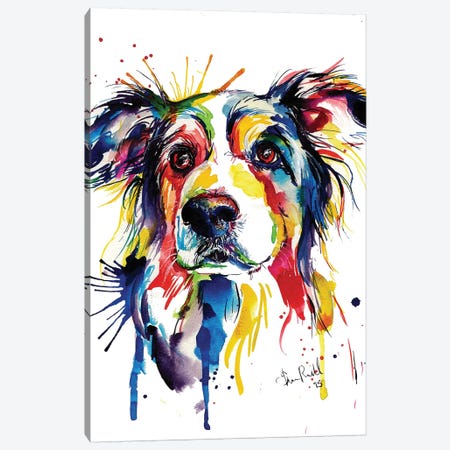 Border Collie Canvas Print #SNA5} by Weekday Best Canvas Wall Art