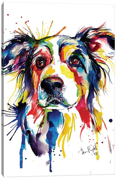 Border Collie Canvas Art Print - Kids Animal Art
