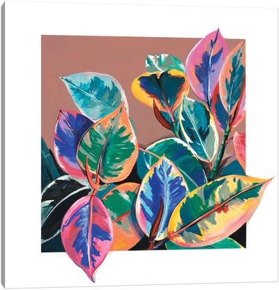 Boho Rubber Plant Canvas Art Print - Weekday Best