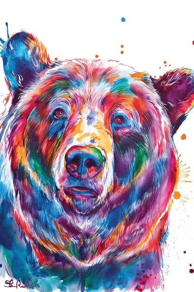 Bears: Black Bear by Weekday Best