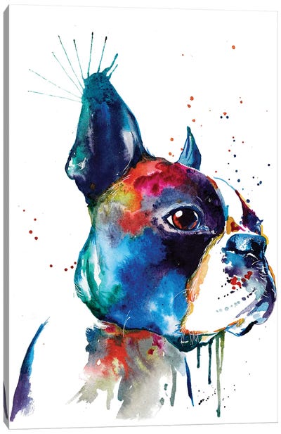 Boston Canvas Art Print - Boston Terriers