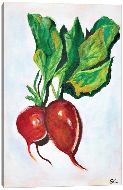 Beetroots Canvas Art Print - Gardening Art