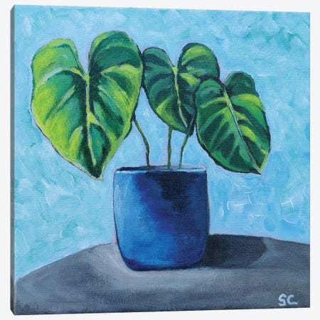 Little Plant Canvas Print #SNC3} by Silan Chen Canvas Art Print